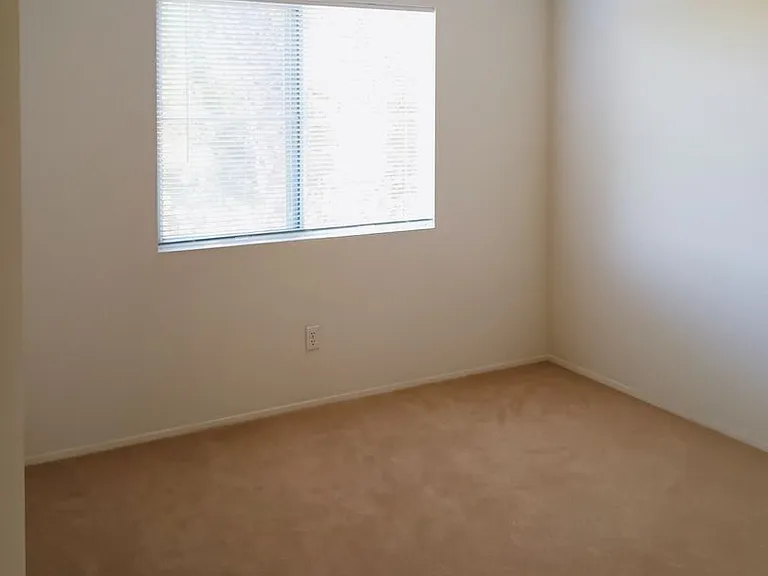1152 La Vida Ct — Photo 9
