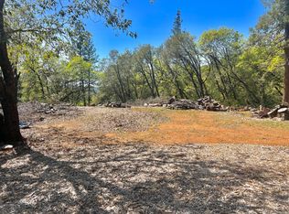 20382 Wildflower Ln, Pine Grove, CA 95665