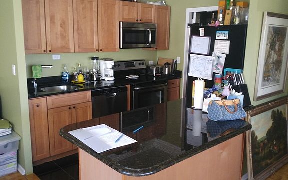 4th image of 1360 N Sandburg Ter APT 1201C