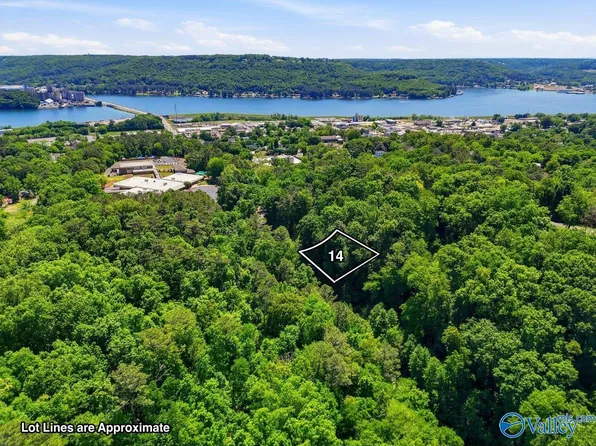 LOT 14 Lusk St, Guntersville, AL 35976