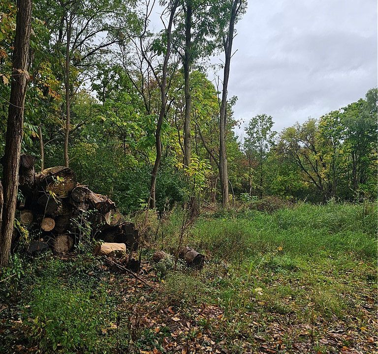 2nd image of 8134 N Boyden Rd