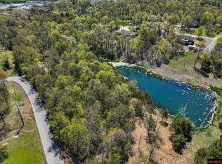 32 Wildwood Cir, Mountain Home, AR 72653