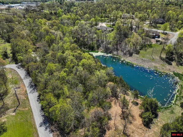 32 Wildwood Cir, Mountain Home, AR 72653