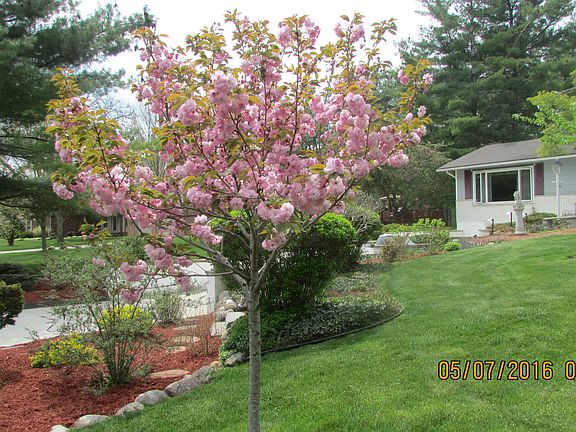 2nd image of 5796 Pineview Dr