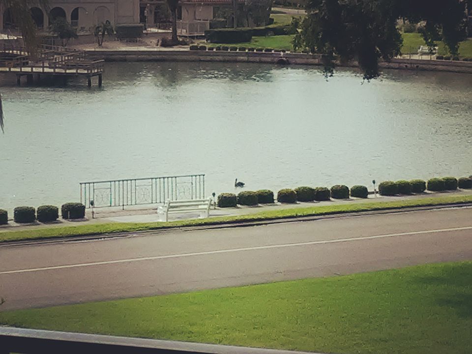 View from private balcony