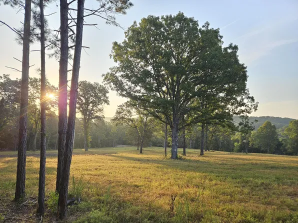 0 County Road 235, Drury, MO 65638