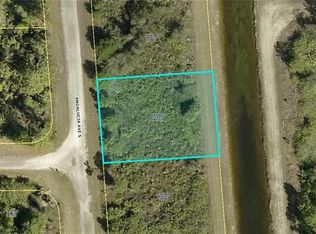 229 Andalucia Ave S, Lehigh Acres, FL 33974