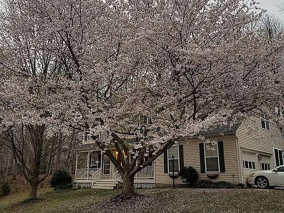 3rd image of 15059 Greenmount Dr