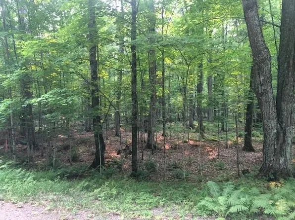 LOT Off Bear Trl, Presque Isle, WI 54557