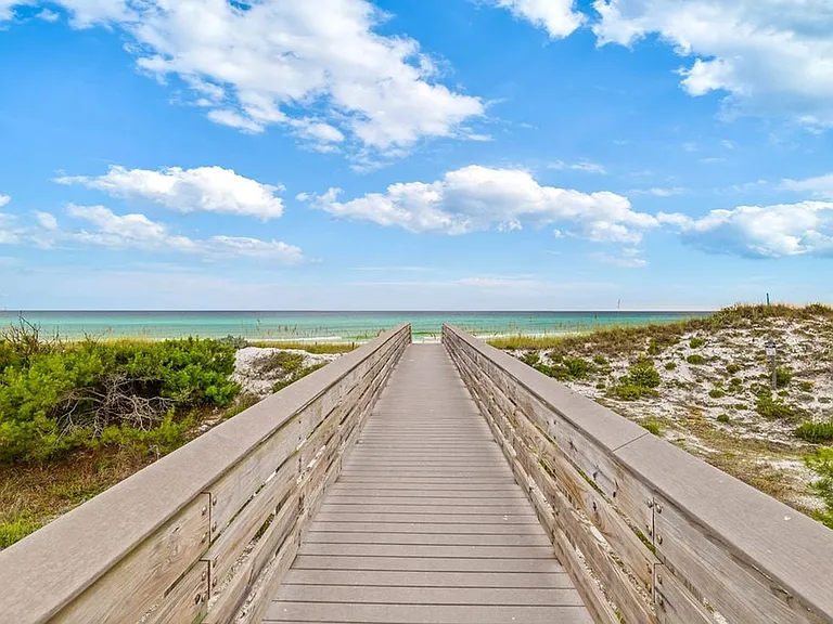 Window View