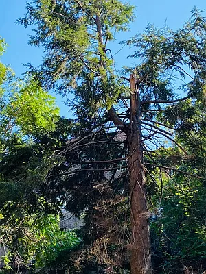 Rented by Bank Neary | media 10