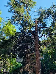 Rented by Bank Neary