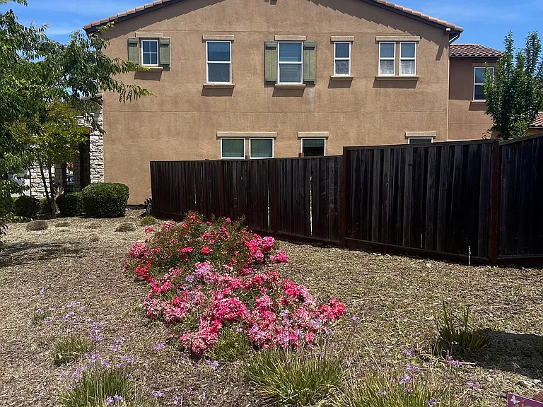 2896 Mount Dana Dr — Photo 20