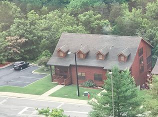 162 Oak Ridge Rd, Branson, MO 65616