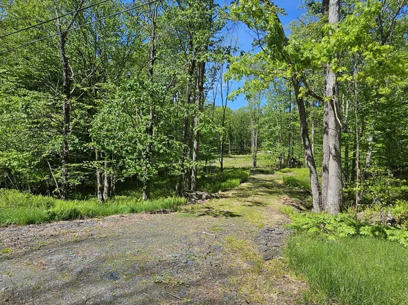 61 Cushetunk Dr, Narrowsburg, NY 12764