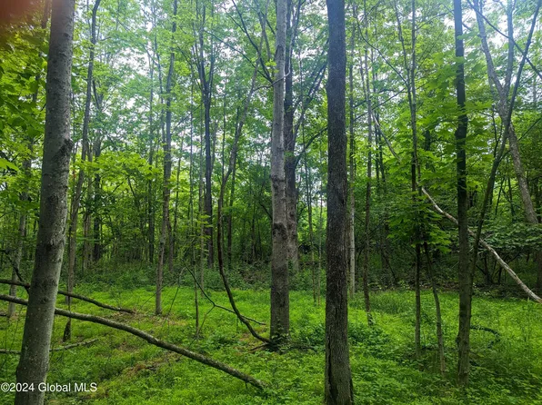 0 Route 144, New Baltimore, NY 12087