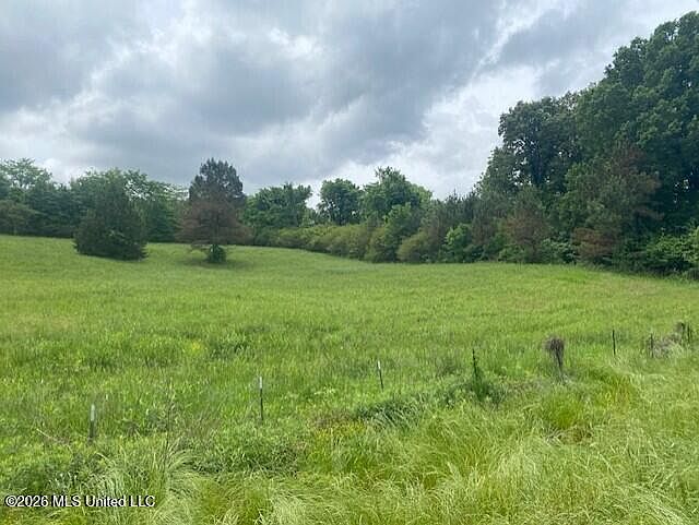 2nd image of Peyton Rd