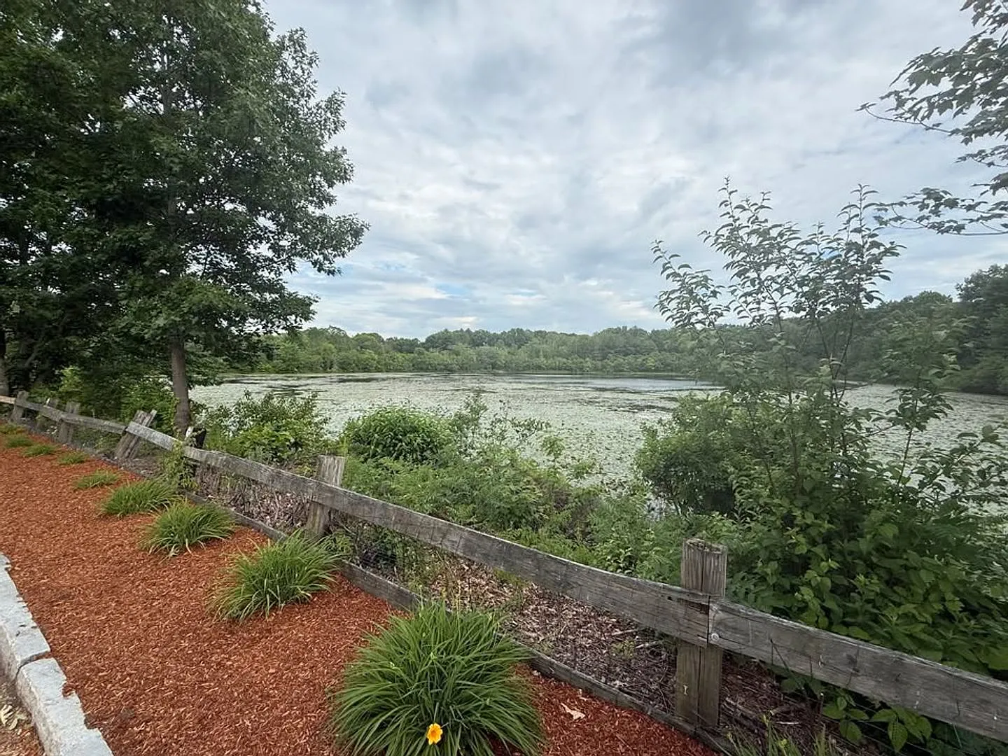 Pondsview Apartments — Photo 4