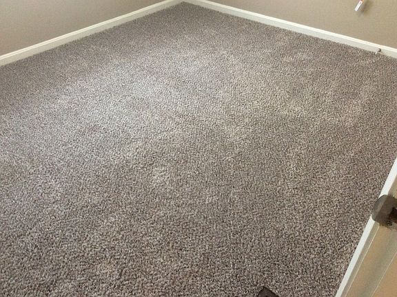 4th image of 1505 Collegewood Ln