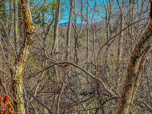 2nd image of 0 River Highlands Rd