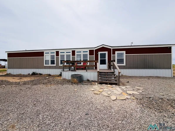 7882 Shoshoni Rd, Hagerman, NM 88232