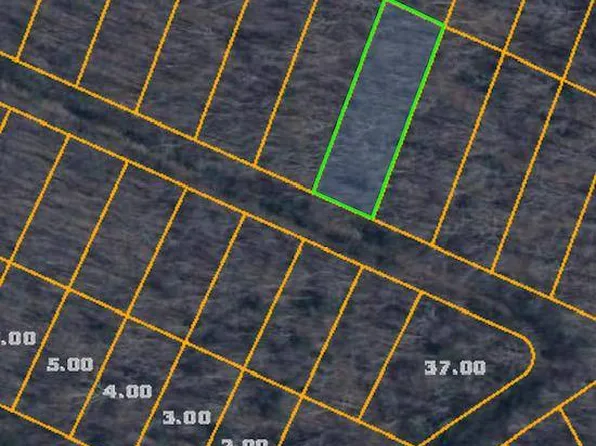 99 Narcissa Dr, Crab Orchard, TN 37723