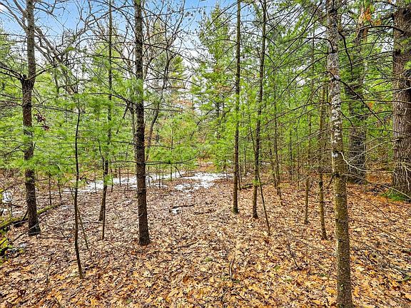 4th image of 5 ac KL Townline Road