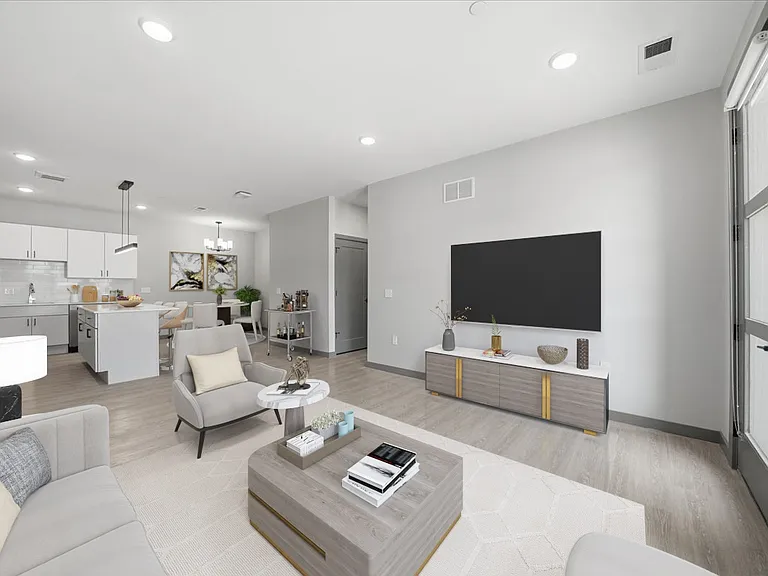 C1 _ Living Room and Kitchen Area