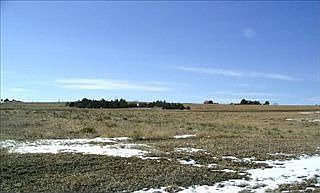 1st image of 47038 Frasier Fir Ct