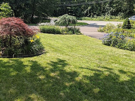 Front gardens