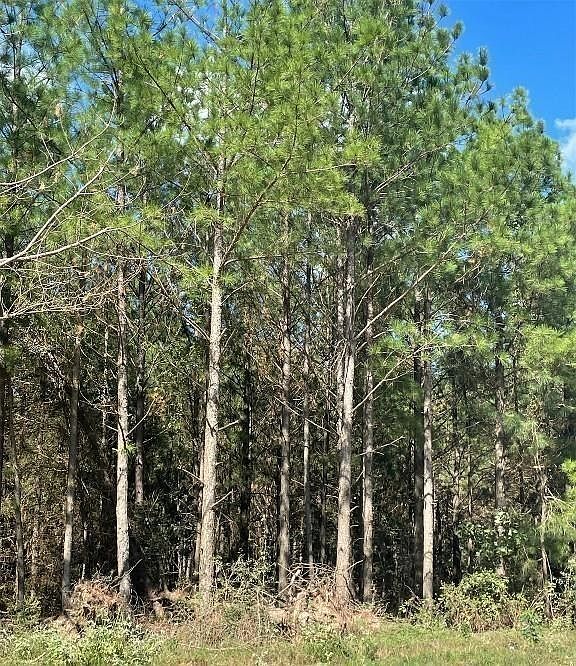 2nd image of 399 Camp Ranch Road