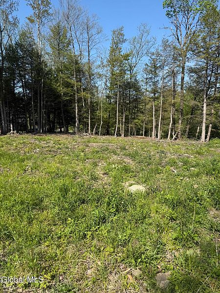 2nd image of 2943 Skyline Drive