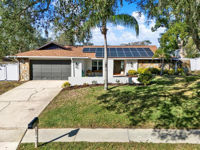 2021 Spanish Pines Dr, Dunedin, FL, 34698