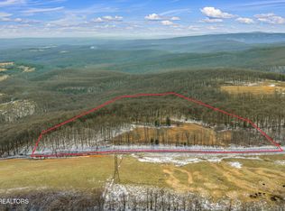 3835 Millstone Mountain Rd, Rockwood, TN 37854