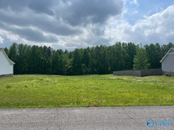 5630 Wyeth Mountain Rd, Guntersville, AL 35976