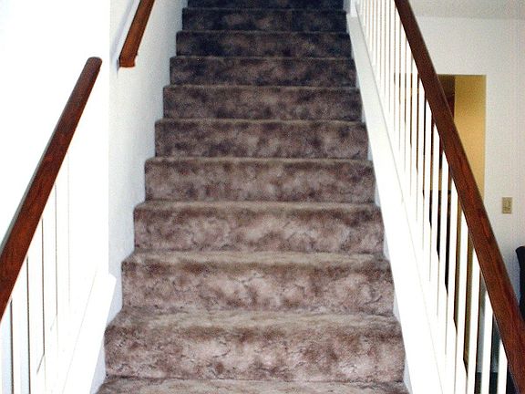 New carpet and paint up stairs 