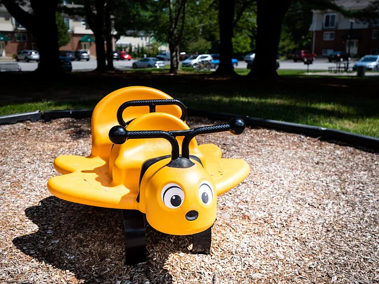 Village Green — Photo 18