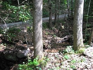 2nd image of 66 Lister Ln