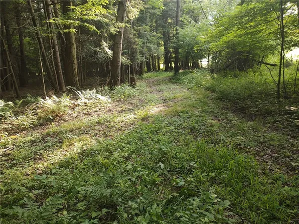 West Rd, Albion, PA 16401