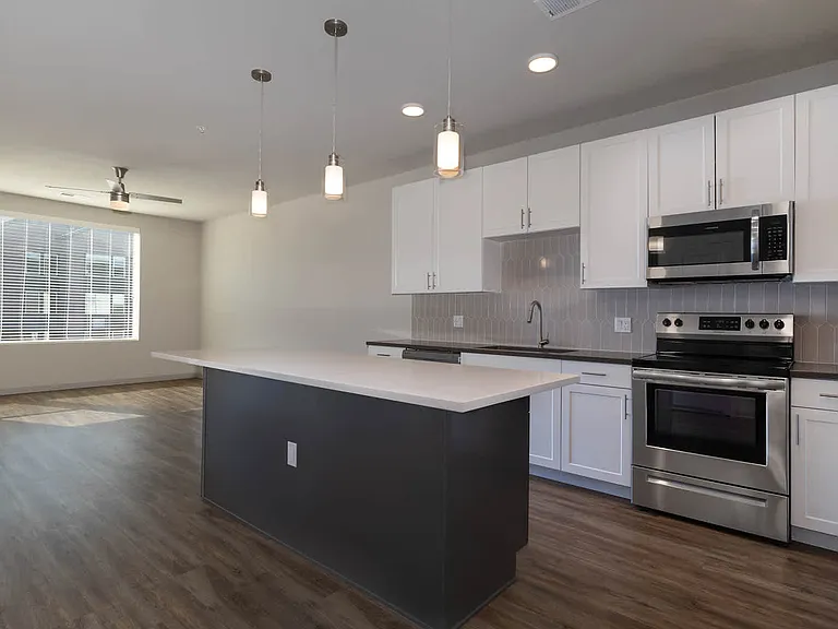 Kitchen and Living Area with Hard Surface Flooring