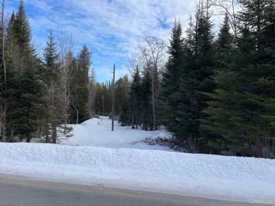 W Long Point Rd, Curtis, MI, 49820