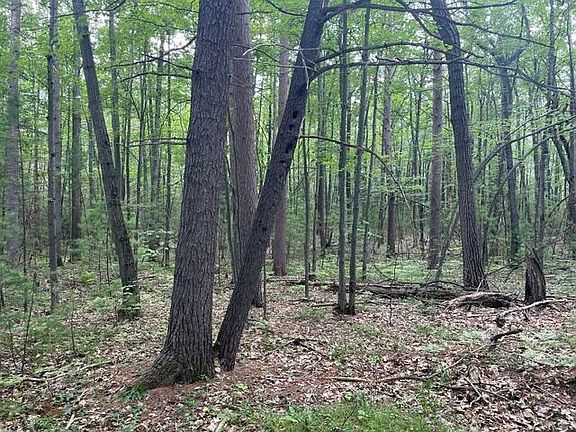 3rd image of 2680 E Mullett Lake Rd