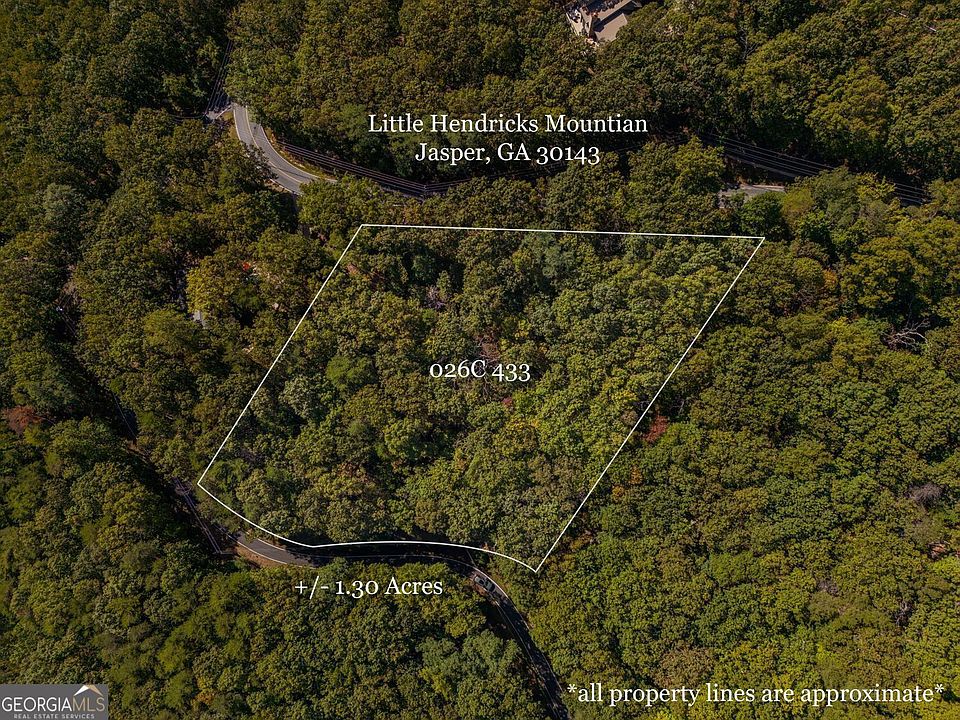 1st image of 0 Little Hendricks Mountain Rd