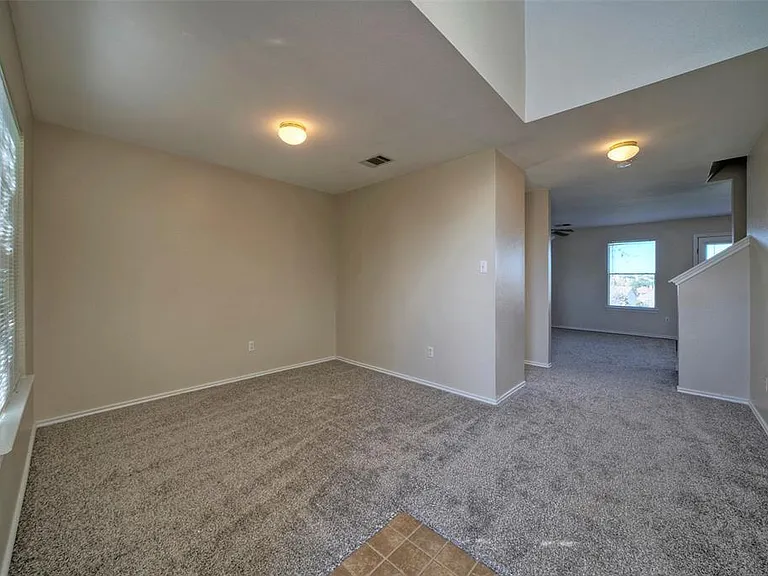 257 Prairie Verbena Dr — Photo 3