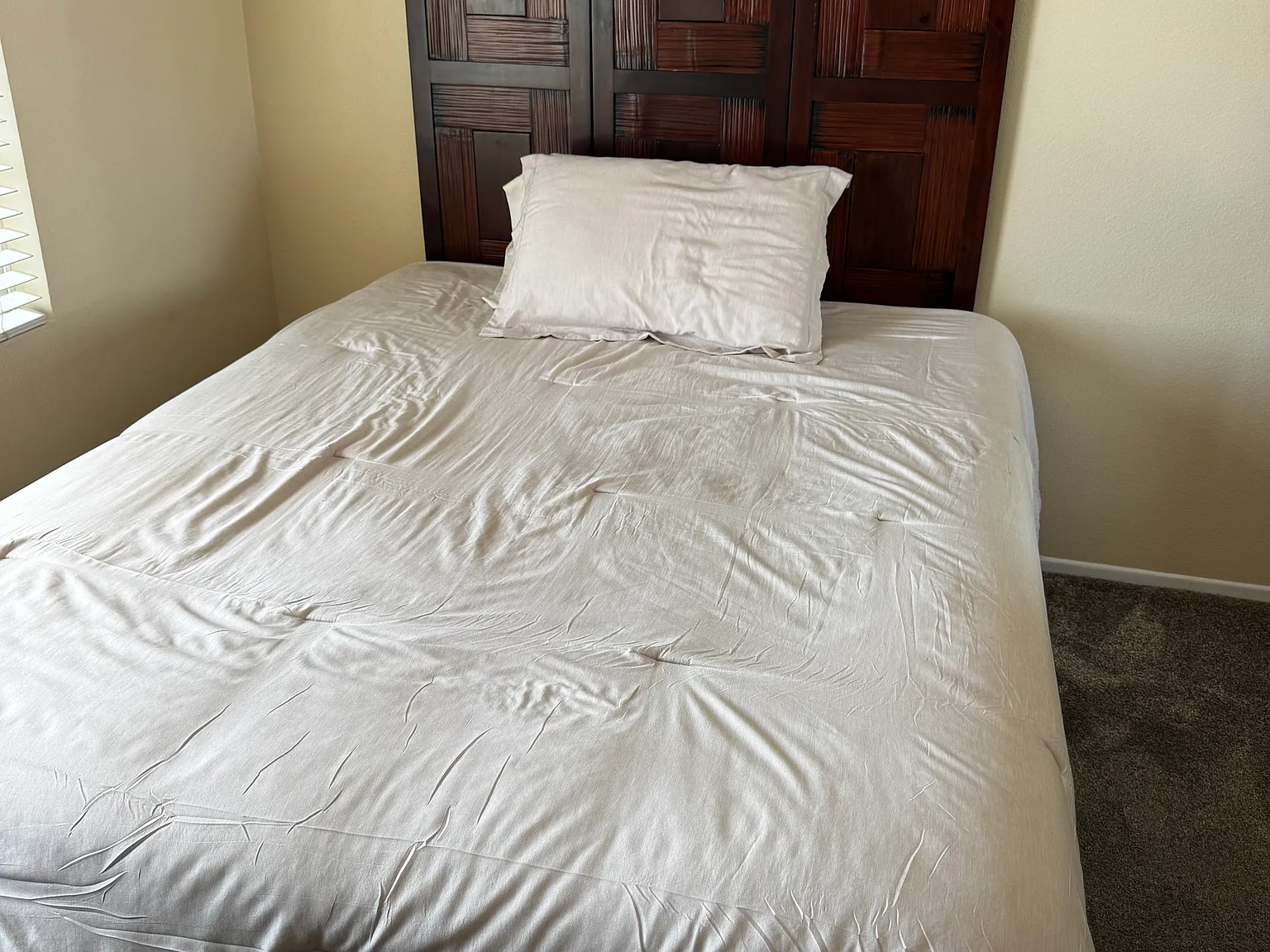 1 bed, 2900 sqft, $890 — Photo 4