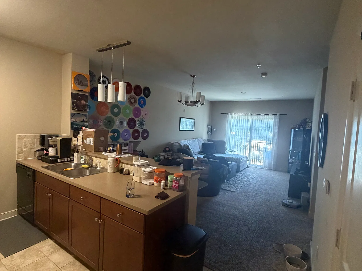 1 bed, 845 sqft, $1,566 — Photo 4