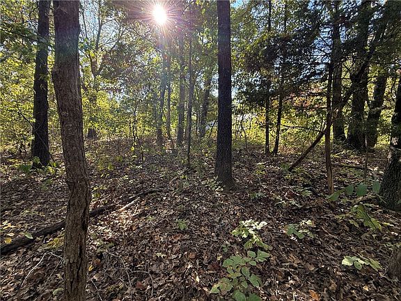5th image of TRACT Silver Ridge Rd #D