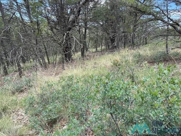 27 Wishita Way, Timberon, NM 88350