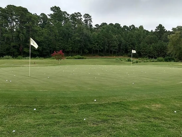 11 Flagstick Park — Photo 19