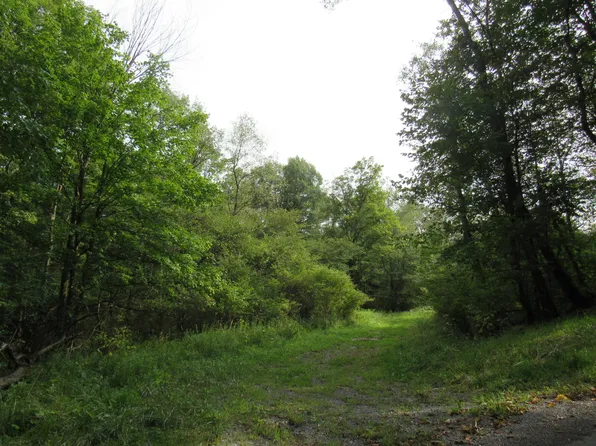 Granville Rd, Brockway, PA 15824